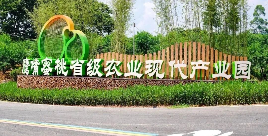 微信图片_2025-07-11_163826_017.jpg