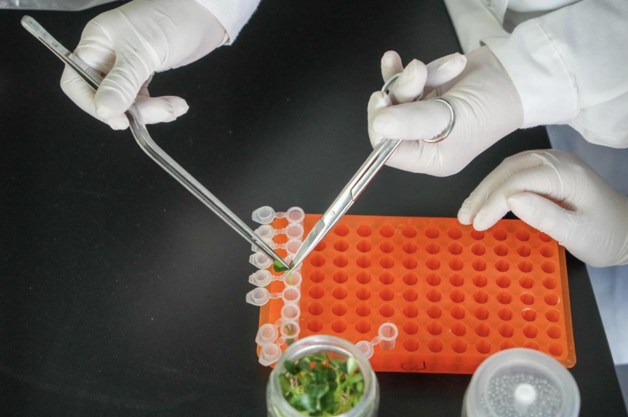 截屏2026-04-30 10.35.45.png