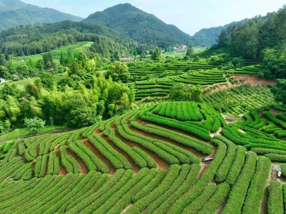1780045822934981.jpg 微信图片_2026-05-29_170756_591.jpg