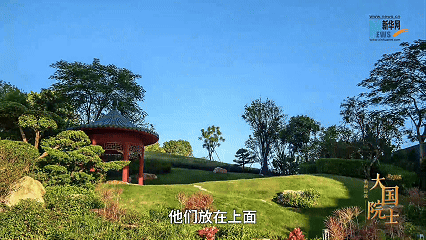 微信图片_2026-06-30_173954_656.png